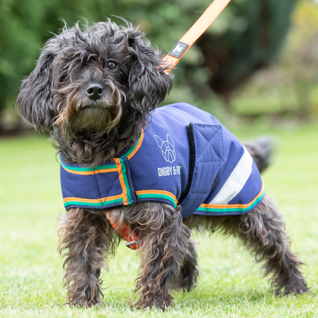 Shires Digby & Fox Waterproof Dog Coat #colour_navy