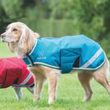 Shires Digby & Fox Waterproof Dog Coat #colour_teal