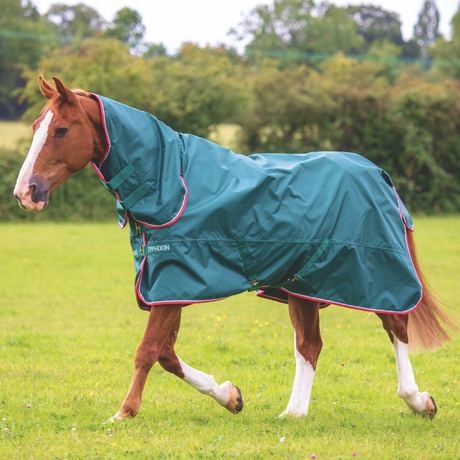 Shires Typhoon Lite Combi Turnout Rug #colour_green