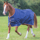 Shires Typhoon 100g Turnout Rug #colour_navy