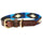 Weatherbeeta Polo Leather Dog Collar #colour_cowdray-brown-blue-blue