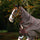 Horseware Ireland Amigo Bravo 12 Original Hood 0g #colour_brown-red-gold