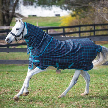 Horseware Ireland Amigo Pony Plus 50g #colour_black-check-teal-silver