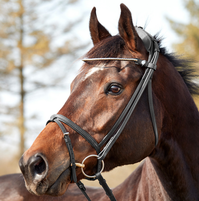 Finesse Zorro Flash Bridle #colour_black-black-silver