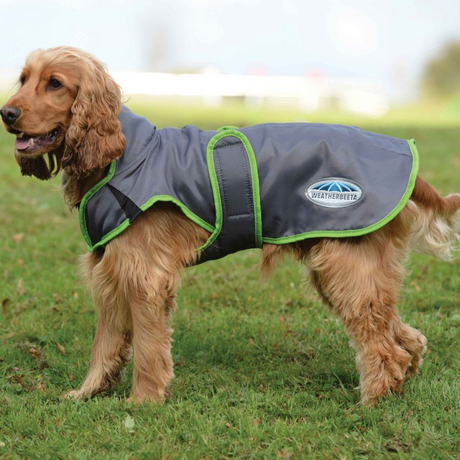 Weatherbeeta Comfitec Windbreaker Free Parka Deluxe Dog Coat #colour_grey-lime