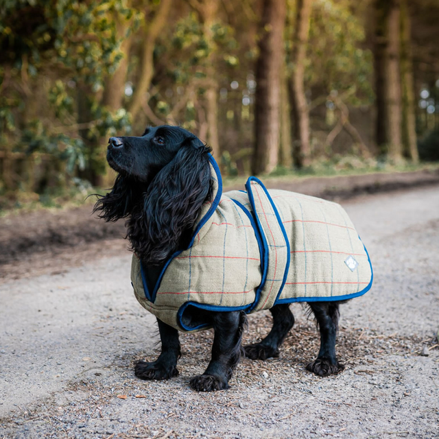 Danish Design Tweed Dog Coat #colour_green