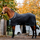 Horseware Ireland Autumn Cooler #colour_black/aqua/silver
