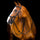 Horseware Ireland Micklem 2 Deluxe Competition Bridle #colour_black