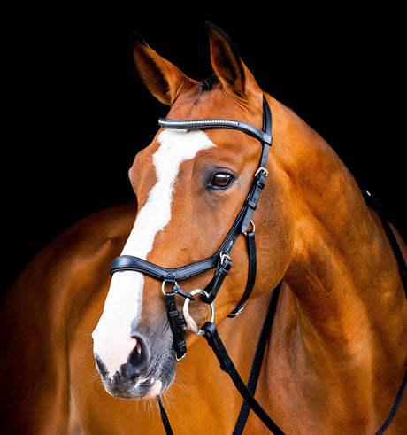Horseware Ireland Micklem 2 Diamante Competition Bridle #colour_black