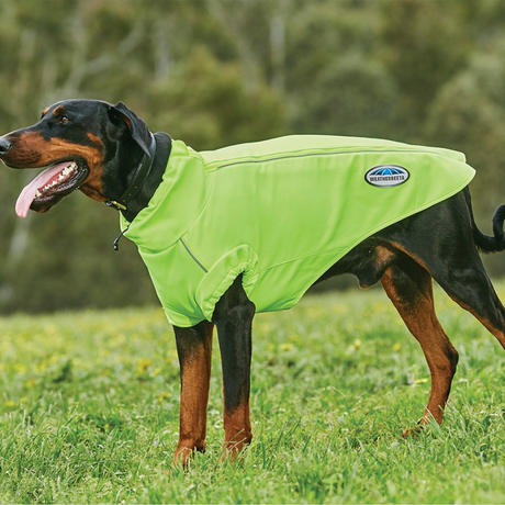Weatherbeeta Comfitec Active Dog Coat #colour_yellow