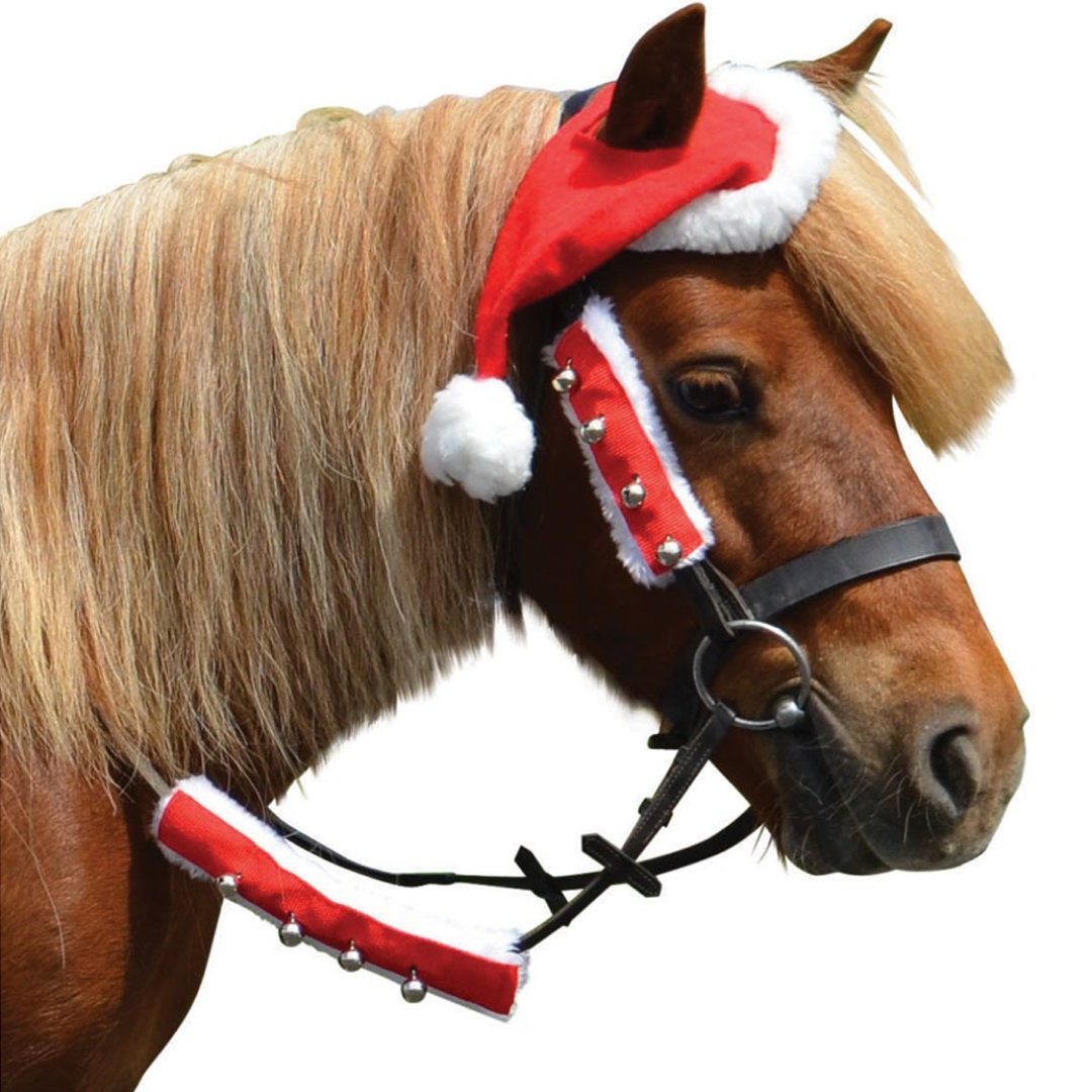 Hy Equestrian Christmas Santa Bridle Set