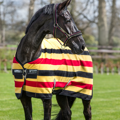 Horseware Ireland Rambo Deluxe Fleece #colour_witney-gold