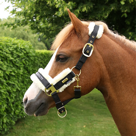 Supreme Products Royal Occasion Head Collar