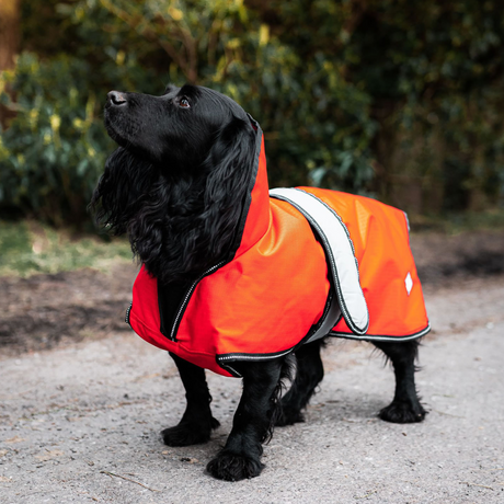 Danish Design Ultimate 2-In-1 Dog Coat #colour_orange