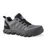 ProMan Atlanta Safety Trainer