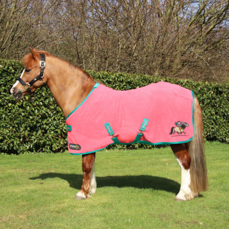 StormX Original Fleece Rug with Embroidery - Thelwell Collection #colour_pink-mint