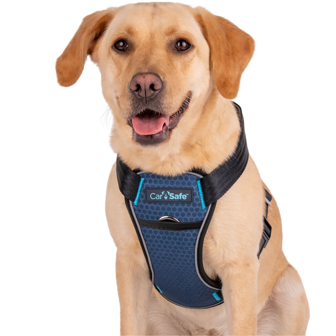Carsafe Crash Tested Dog Harness