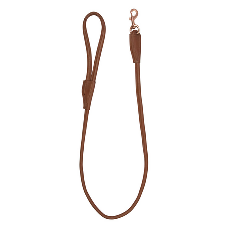 Benji & Flo Superior Rolled Leather Dog Lead #colour_tan-rose-gold