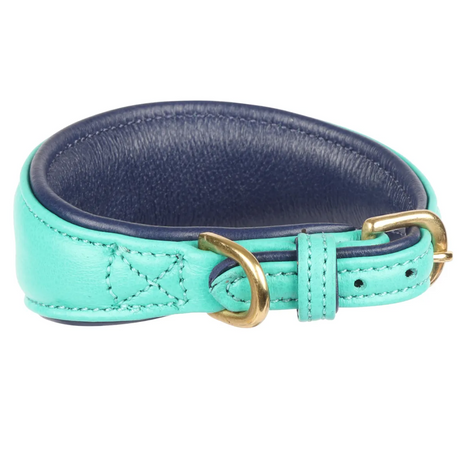Shires Digby & Fox Padded Greyhound Collar #colour_teal