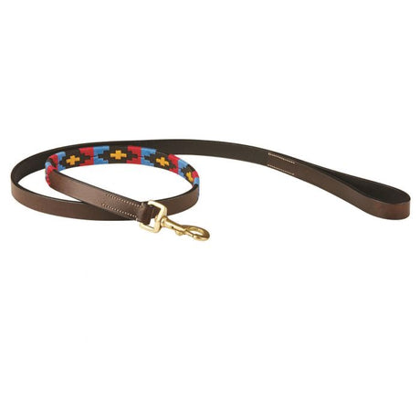 Weatherbeeta Polo Leather Dog Lead #colour_cowdray-brown-pink-blue-yellow