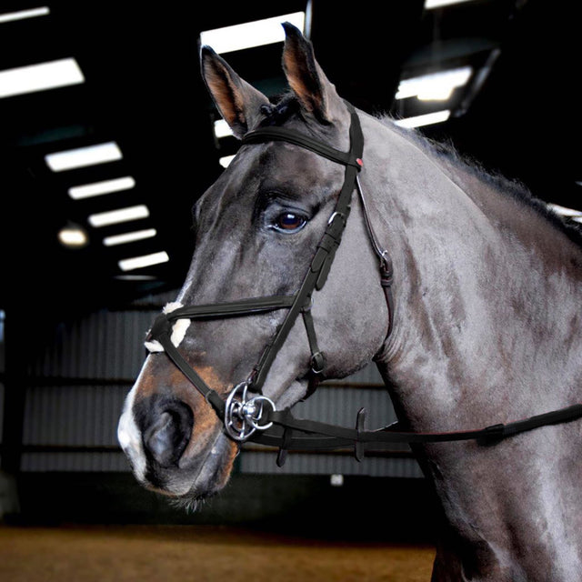 Whitaker Ready To Ride Mexican Bridle #colour_black