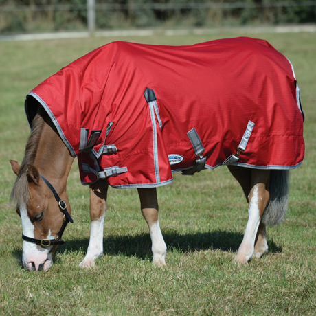 Weatherbeeta ComFiTec Classic Combo Neck Heavy Turnout Rug #colour_red-silver-navy