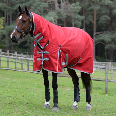 Weatherbeeta ComFiTec Classic Combo Neck Heavy Turnout Rug #colour_red-silver-navy