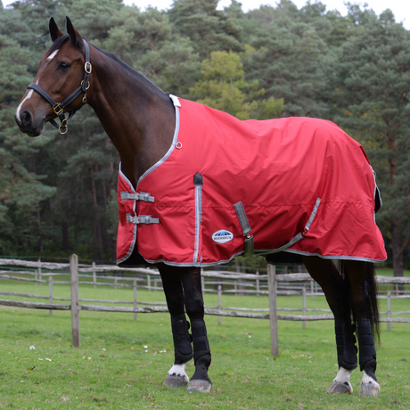 Weatherbeeta Comfitec Classic Standard Neck Lite Rug #colour_red-silver-navy