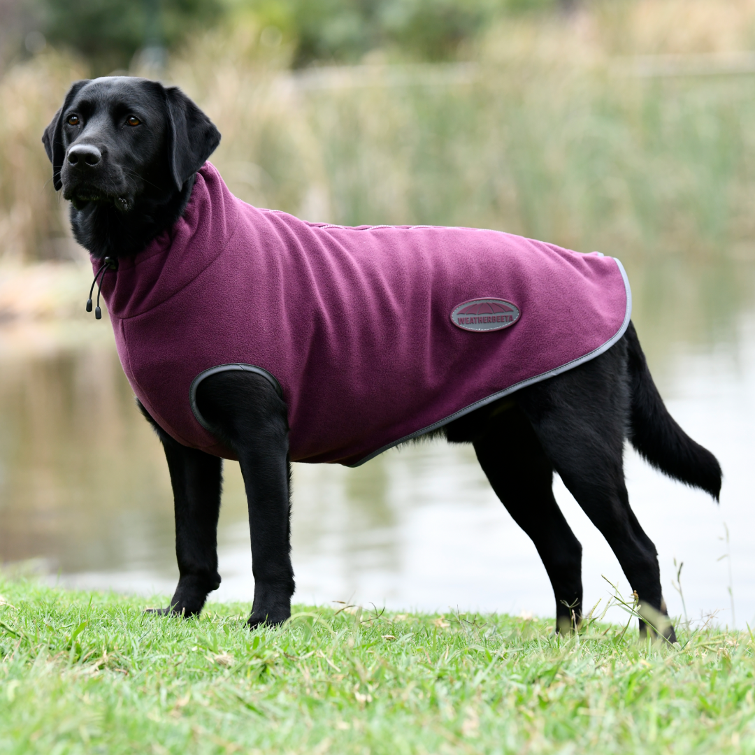 Weatherbeeta Comfitec Fleece Zip Dog Coat #colour_maroon-grey