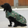 Weatherbeeta Comfitec Premier Free Parka Dog Coat Medium #colour_sloth-print