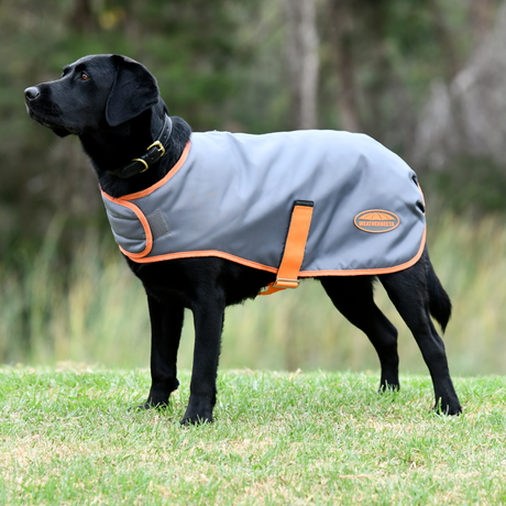 Weatherbeeta Comfitec Windbreaker Free Parka Dog Coat #colour_gunmetal-coral