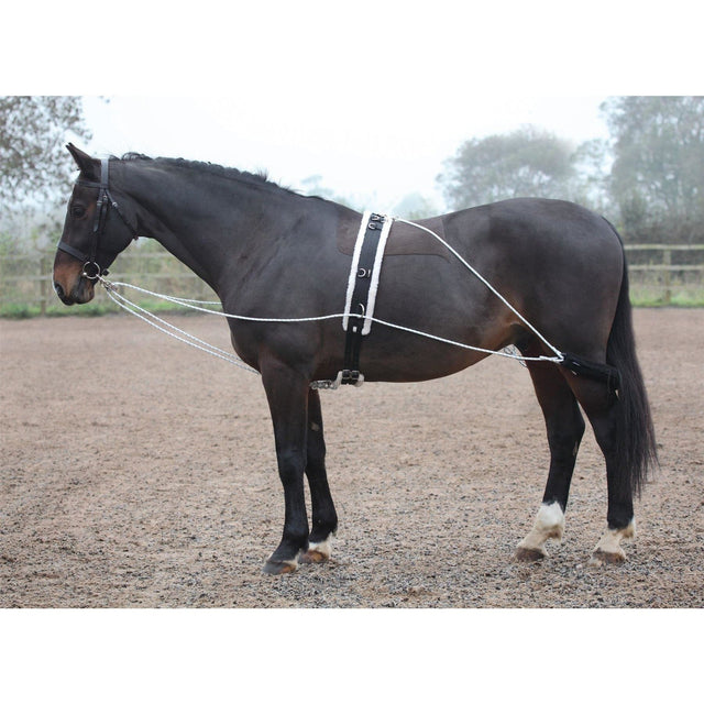 Shires Lunging Aid