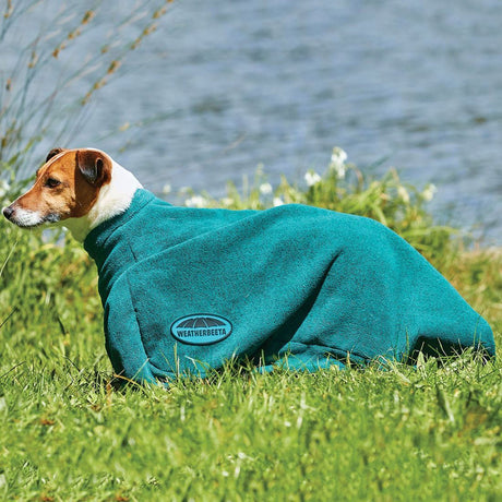 Weatherbeeta Dry-Dog Bag #colour_hunter-green