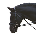 Kincade Chambon