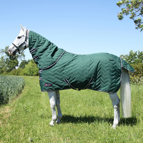 DefenceX System 100g Stable Rug with Detachable Neck Cover #colour_green-navy-light-grey