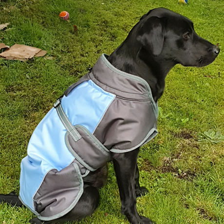 Henry Wag Waterproof Dog Coat #colour_blue-grey