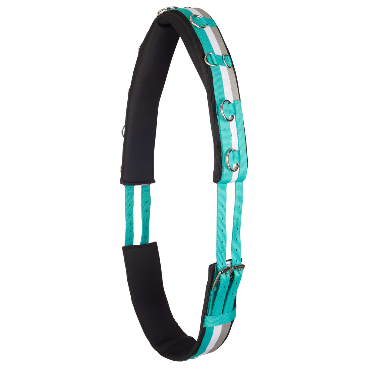 Imperial Riding Deluxe Nylon Lunging Girth #colour_jade