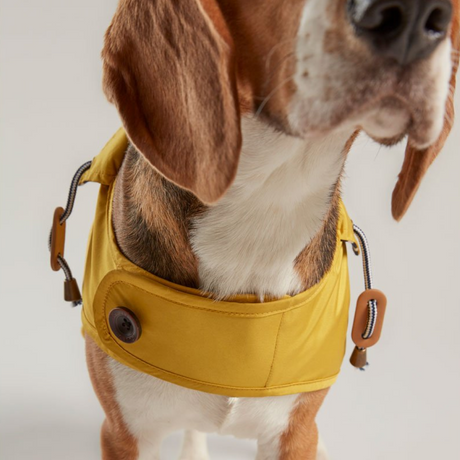 Joules Water Resistant Dog Coat #colour_mustard