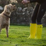 GS Equestrian Ladies Yellow Hexworthy Wellington Boots#colour_yellow